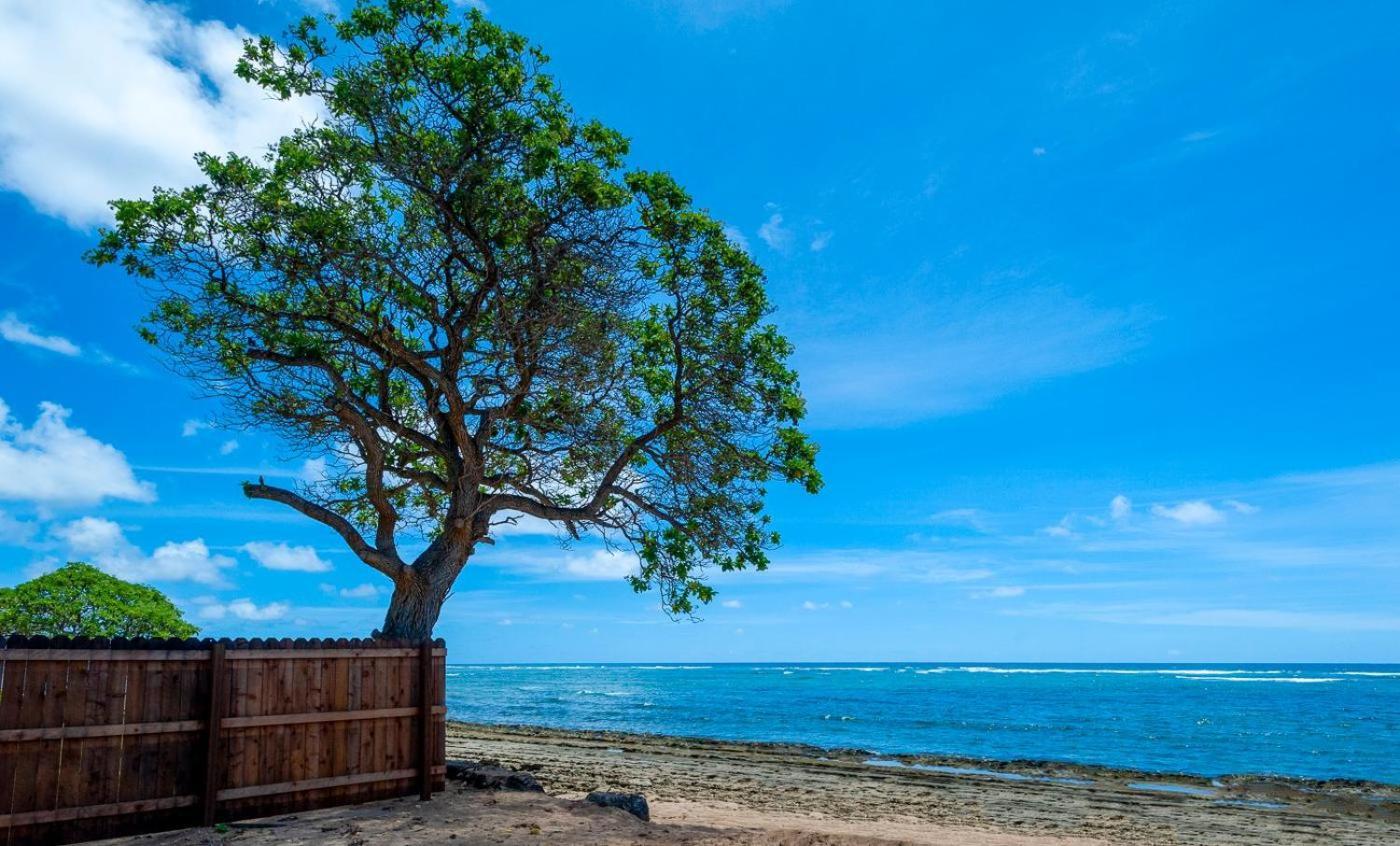 Апартаменти Kauai Kailani 218 Капаа Екстер'єр фото